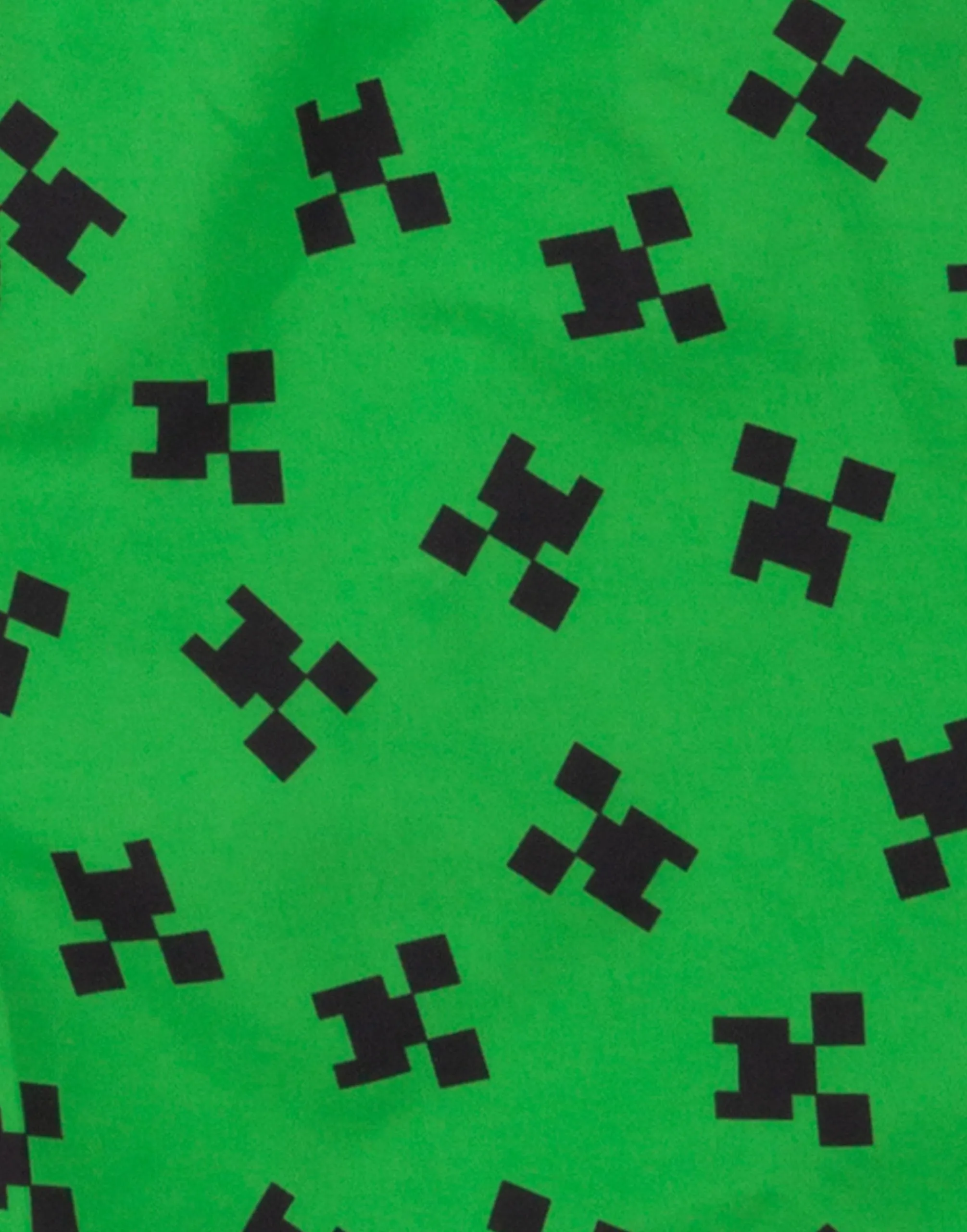 Minecraft Boy's Swim Shorts